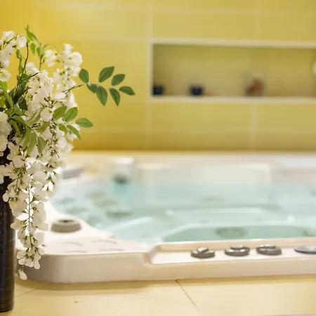 Hébergement de vacances Domaine De Godchure - 11 Pers Jacuzzi&sauna *