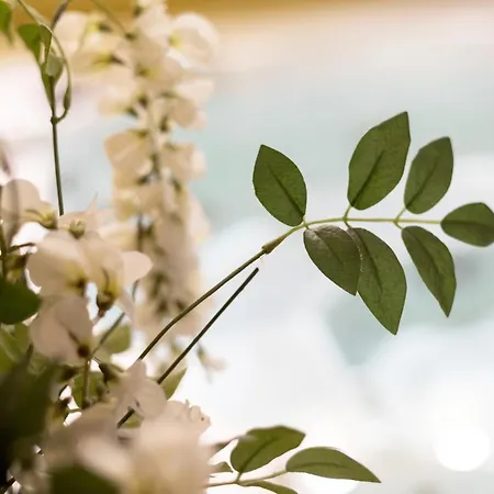 Tatil Evi Domaine De Godchure - 11 Pers Jacuzzi & Sauna